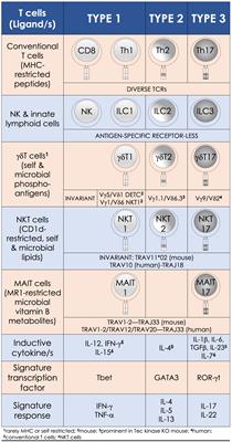 Die Kämpfe únd schláchten—the struggles and battles of innate-like effector T lymphocytes with microbes